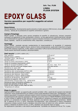 EPOXY GLASS Sch. Tec. FL06