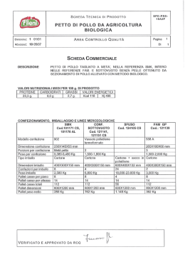 SCHEDA TECNICA DI PRODOTTO 18A2P PETTO