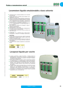Lavamotore liquido emulsionabile a base solvente Lavapezzi