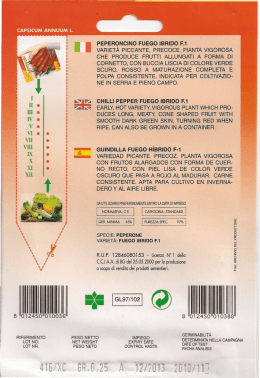 ii peperoncino fuego ibrido f.1 variet&agrave; piccante, precoce