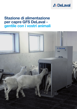 Stazione di alimentazione per capre GFS DeLaval