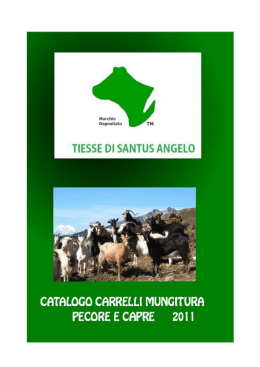 TIESSE DI SANTUS ANGELO