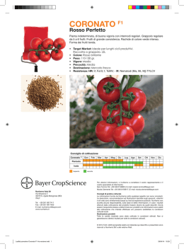 Leaflet pomodoro Coronato F1 4a versione.indd