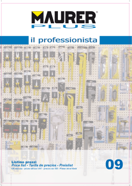 1 - Maurer - Ferritalia