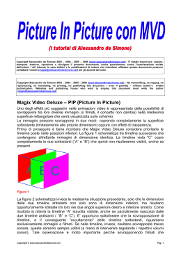 Magix Video Deluxe – PIP (Picture In Picture)
