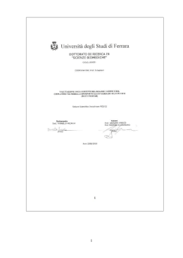 Untitled - Universit&agrave; degli Studi di Ferrara