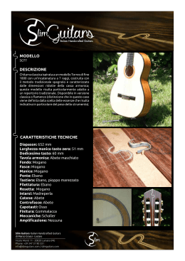 PDF - Slim Guitars