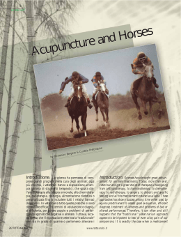 Acupuncture and Horses
