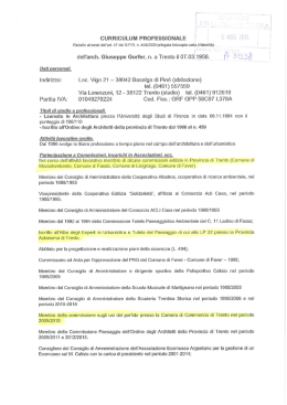 curriculum vitae - Comunità della Valle di Cembra