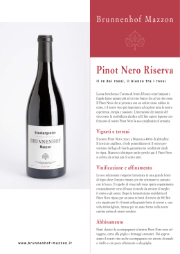 Pinot Nero Riserva - Brunnenhof Mazzon