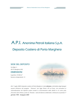 A.P.I. Anonima Petroli Italiana S.p.A. Anonima Petroli Italiana S.p.A.