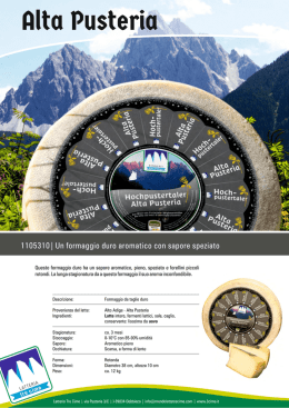 Informazioni prodotto Documento PDF