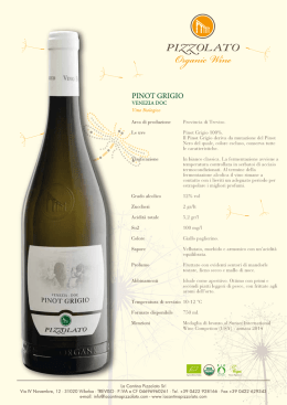 PINOT GRIGIO - Cantina Pizzolato