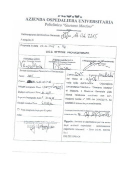 delibera_DG_382_2015