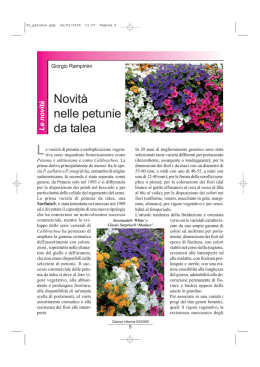 leggi l`articolo