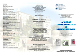 Udine () - Società Italiana di Microchirurgia