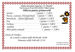 Offerta piante primaverili Gerani 3 piante = 5 ,00 € Fucsia, Lantana