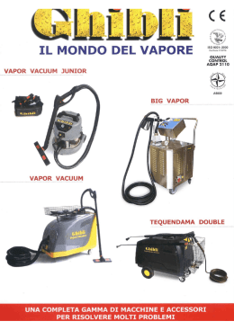 FD 381 Il mondo del vapore (low res)