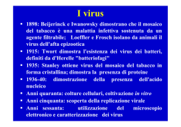 Lezione 8. I virus - Universit&agrave; degli Studi di Parma