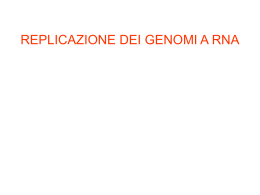 F-Replicazione dei genomi a RNA
