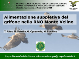 Alimentazione suppletiva del grifone nella RNO Monte Velino