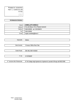 Curriculum Angelo Zanellato