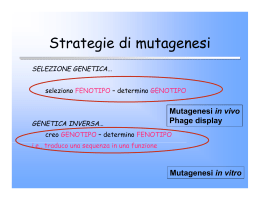 Strategie di mutagenesi