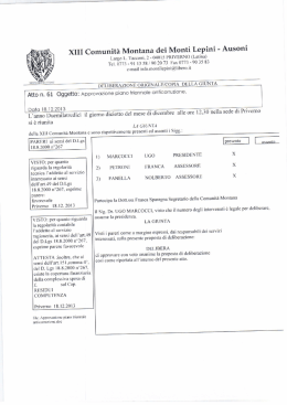 DEL. N. 61 del 18.12.2013 approvazione piano triennale