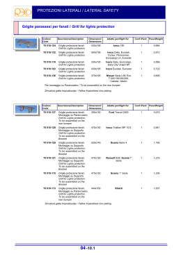PROTEZIONI LATERALI / LATERAL SAFETY 04-10.1