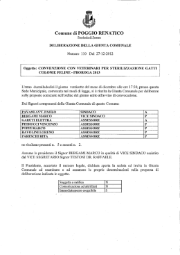 Deliberazione del Servizio Affari Generali G.C. n. 110 del 27-12