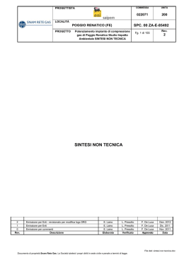 SINTESI NON TECNICA