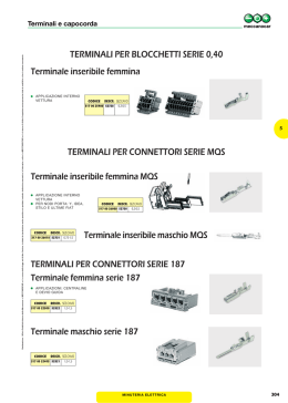 TERMINALI PER BLOCCHETTI SERIE 0,40 Terminale inseribile
