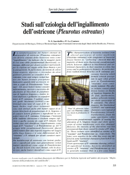 40.P. LO CANTORE e IACOBELLIS N.S, 1998. Studi sull`eziologia