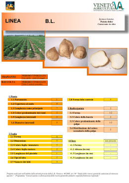 Patata dolce - Veneto Agricoltura
