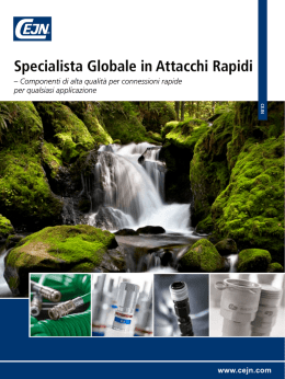 Specialista Globale in Attacchi Rapidi