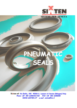 PNEUMATIC SEALS