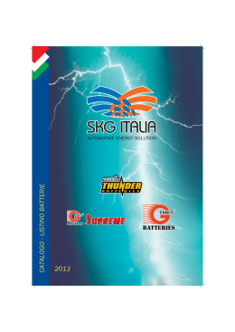 SKG CatBATT_IT2013tracc