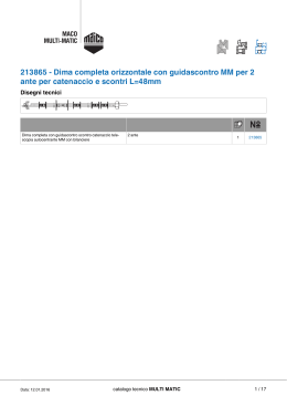 213865 - Dima completa orizzontale con guidascontro MM per 2