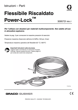 309572Ir - Power-Lock Heated Hose, Italian, MM309572