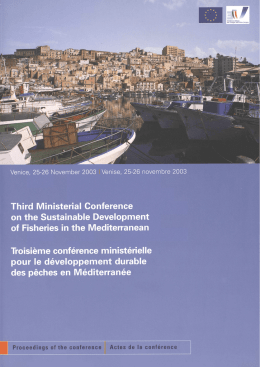 Third Ministerial Conference on the Sustainable Development