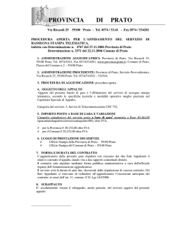 Testo integrale del bando in formato  228 kb