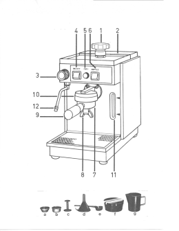 Untitled - Olympia Express