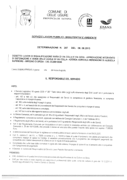 Page 1 Page 2 v Ci-lE con determinazione dei Responsabiie del