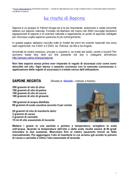 Le ricette di Sapone