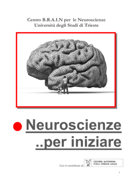• Neuroscienze ..per iniziare - Università degli Studi di Trieste