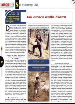 Roberto Bassanelli Gli archi della Fiarc