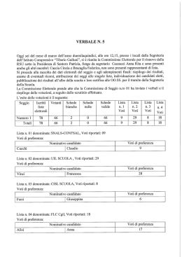 6. Risultati Provvisori Elezioni R.S.U.