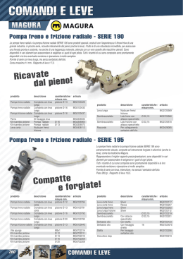 CoMAndi e leve - Bike Inside Accessori e Ricambi Moto