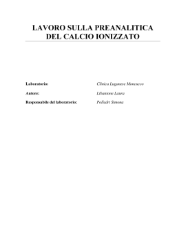 Lavoro di diploma di Laura Libanione SSMT, 2004.