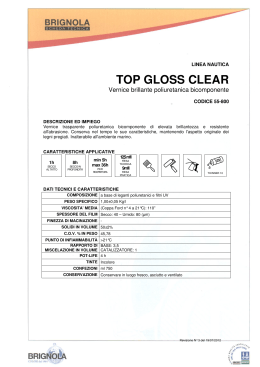 TOP GLOSS CLEAR